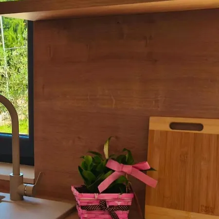 Pensjonat Maella Garden *