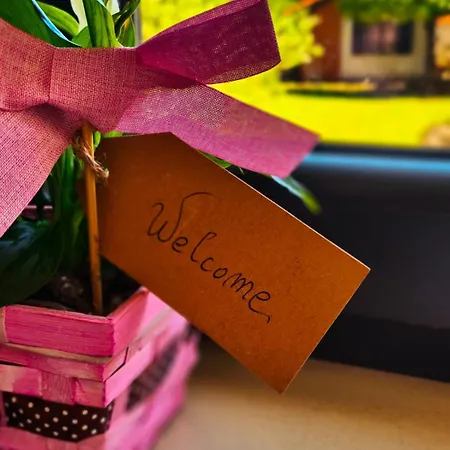 Maella Garden Pensjonat Zadar