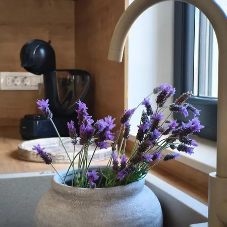 Maella Garden Pensjonat