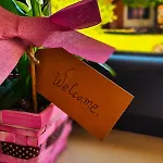 Maella Garden Гостьовий будинок Задар