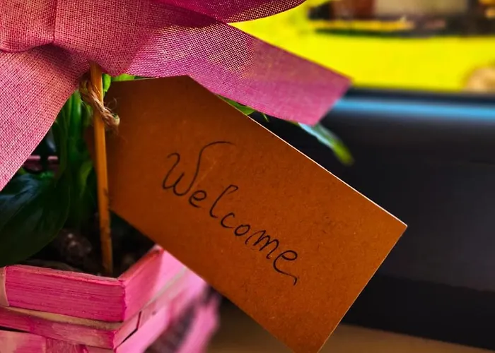 Maella Garden Gæstehus Zadar